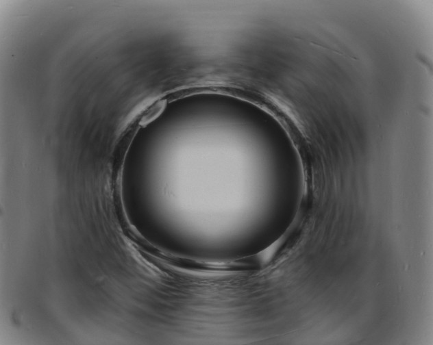 X0000096391452200801311311