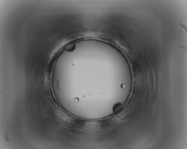 X0000096391454200801311311