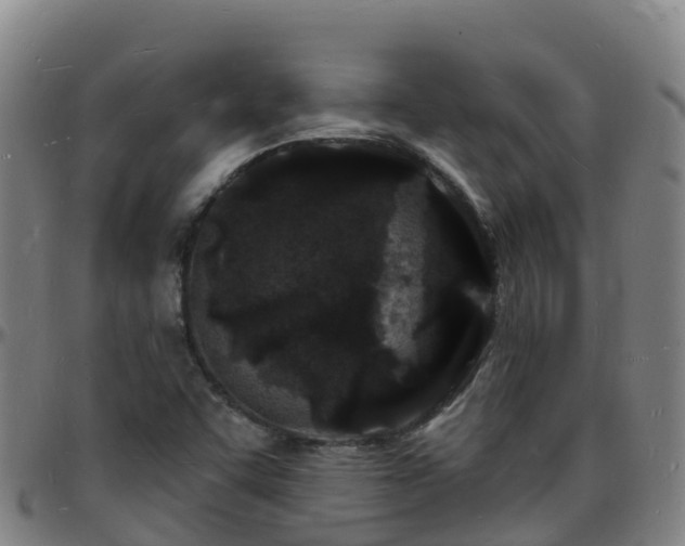 X0000096391455200801311311