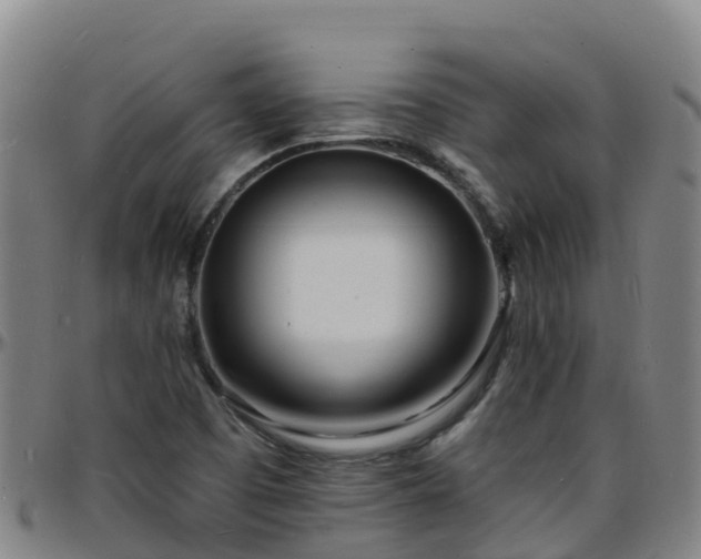 X0000096391457200801311311