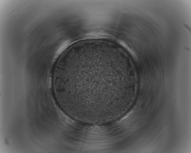 X0000096391459200801311311