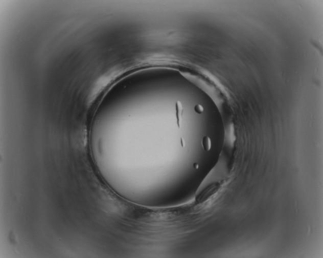 X0000096391461200801311311