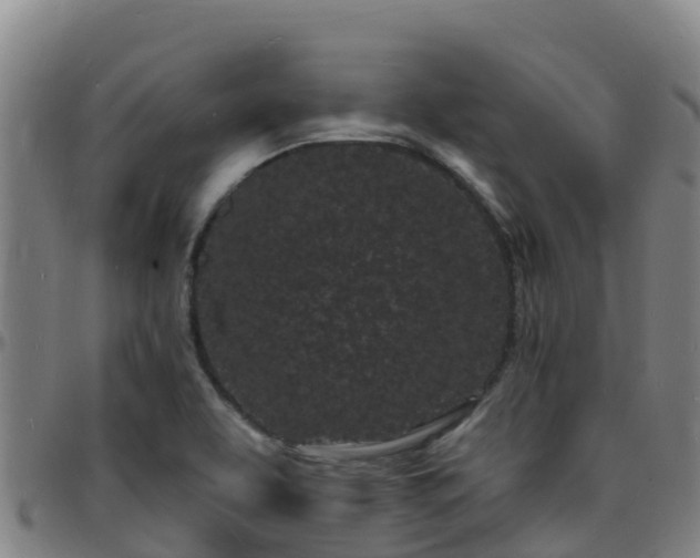 X0000096391463200801311311