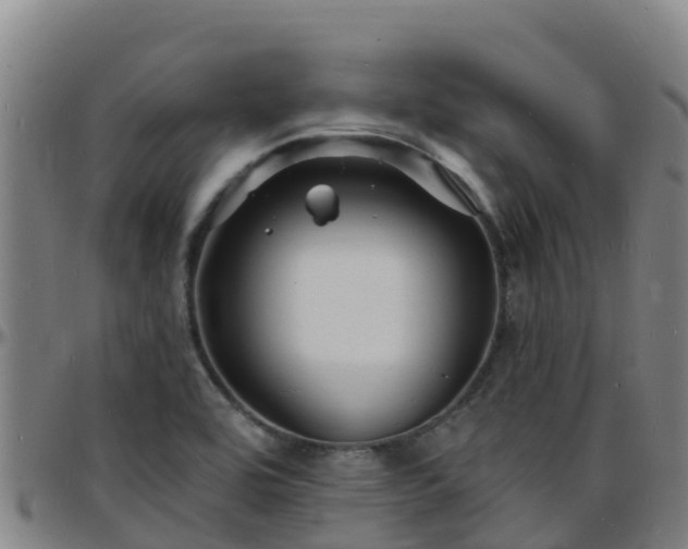 X0000096391464200801311311