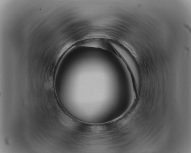 X0000096391465200801311310