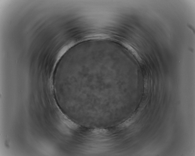X0000096391466200801311310