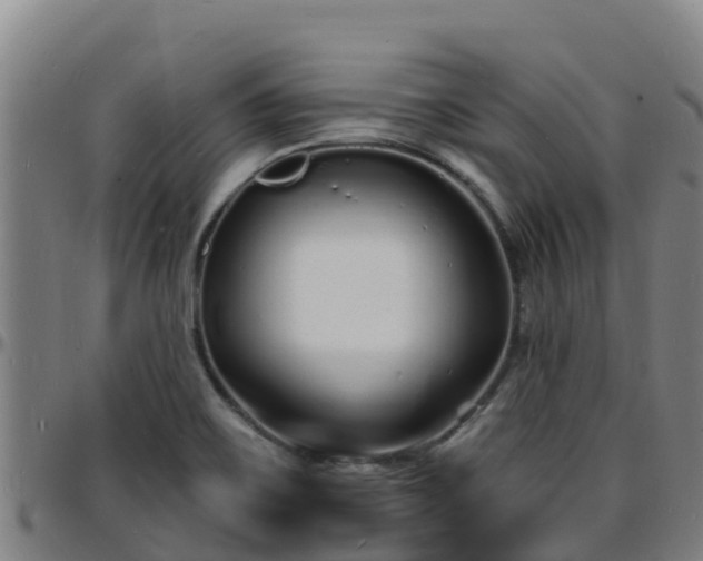 X0000096391467200801311310