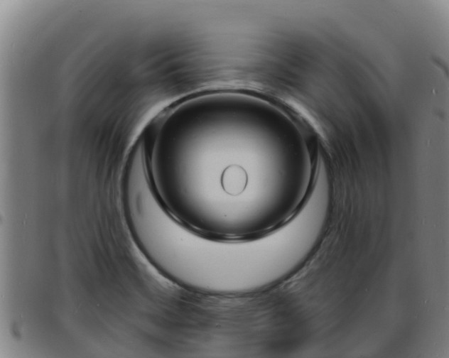 X0000096391468200801311310