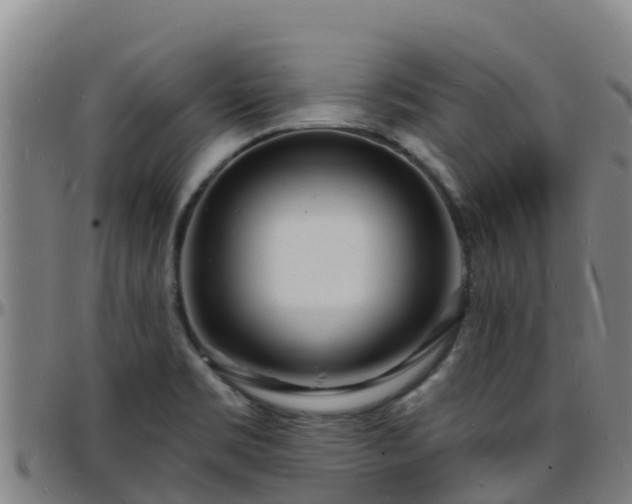 X0000096391469200801311310