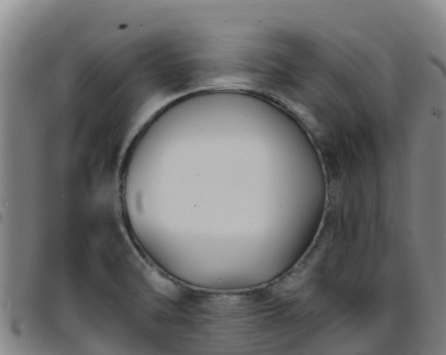 X0000096391470200801311310