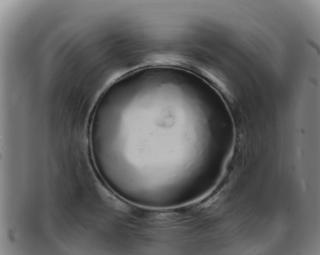 X0000096391471200801311310