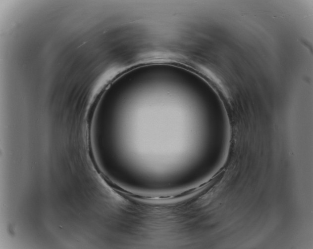 X0000096391472200801311310