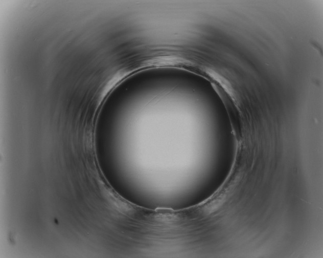 X0000096391473200801311310