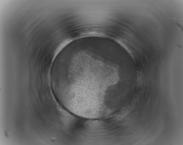 X0000096391474200801311310
