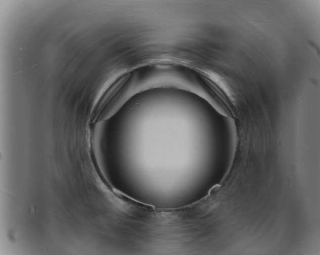 X0000096391476200801311310