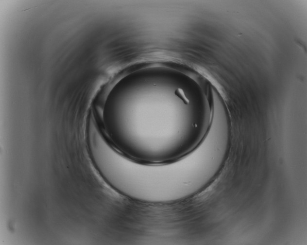 X0000096391477200801311310