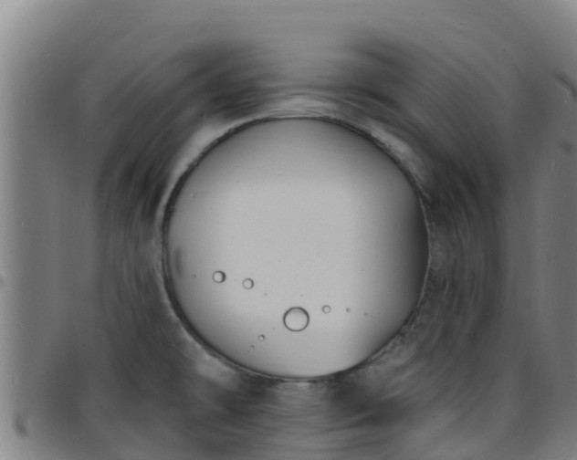 X0000096391478200801311310