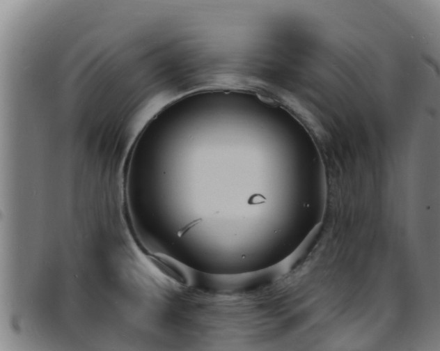X0000096391479200801311310