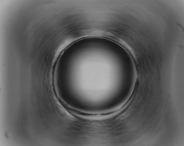 X0000096391480200801311310