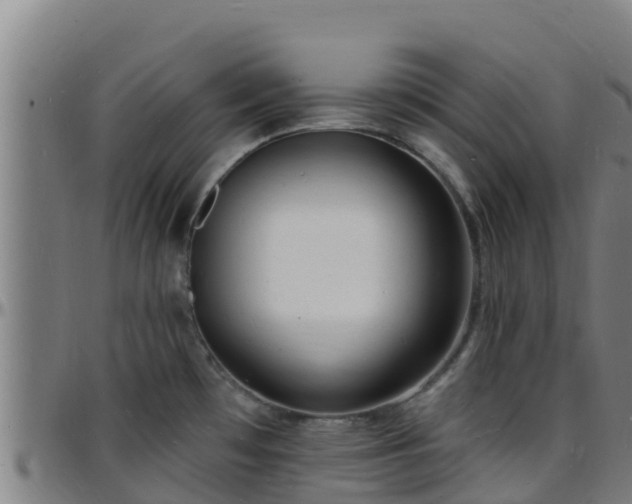 X0000096391481200801311310