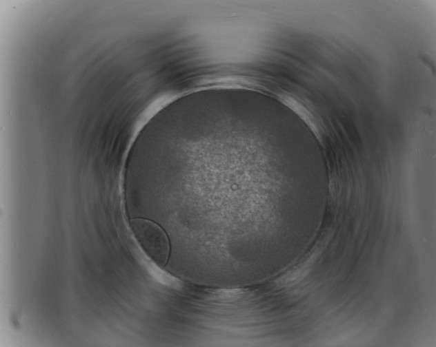 X0000096391482200801311310