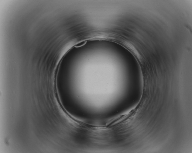 X0000096391483200801311310