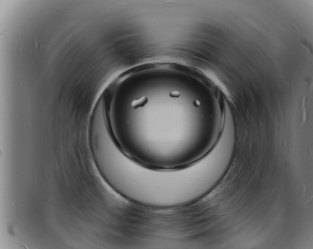 X0000096391484200801311310