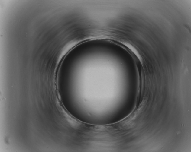 X0000096391485200801311310