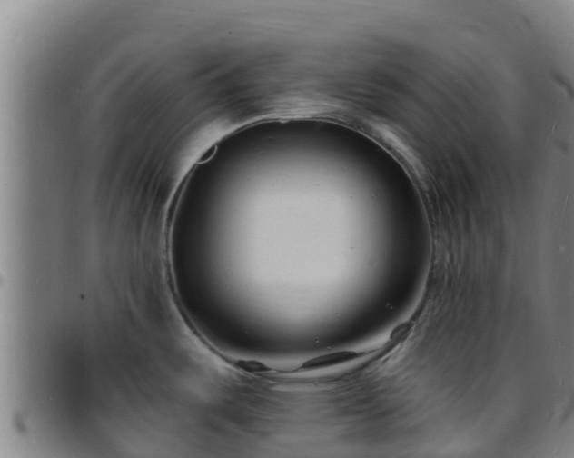 X0000096391487200801311310