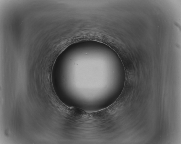 X0000096391489200801311309