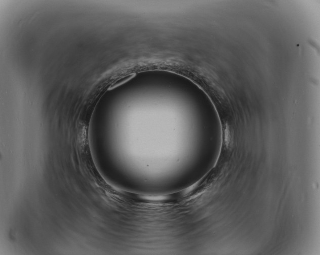 X0000096391492200801311309