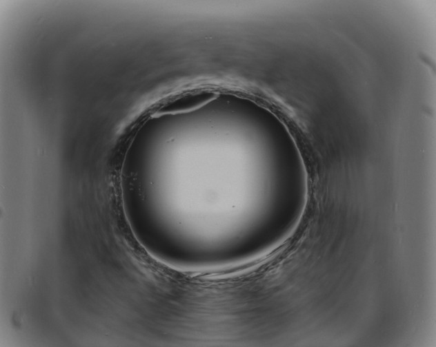 X0000096391496200801311309