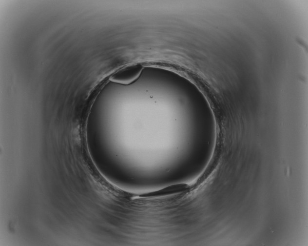 X0000096391497200801311309