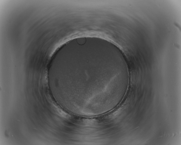 X0000096391498200801311309