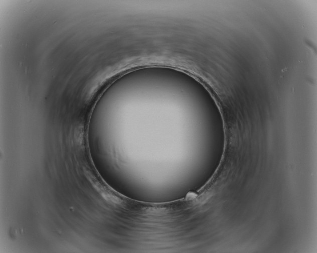 X0000096391499200801311309