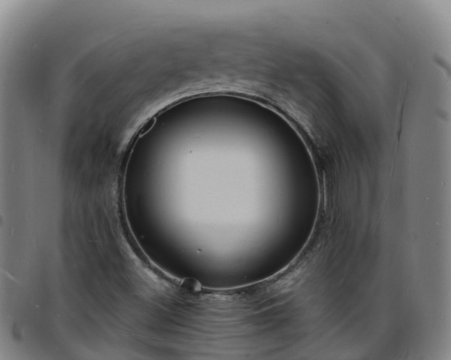 X0000096391500200801311309