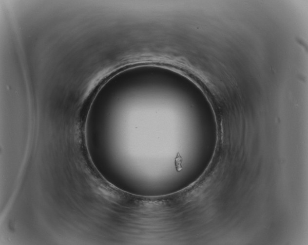 X0000096391501200801311309