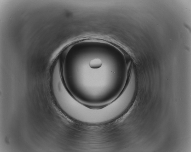 X0000096391502200801311309
