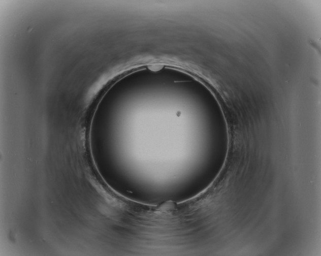 X0000096391503200801311309