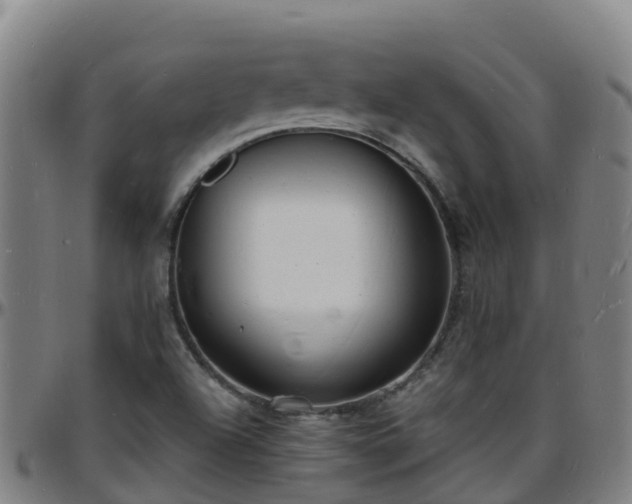 X0000096391504200801311309