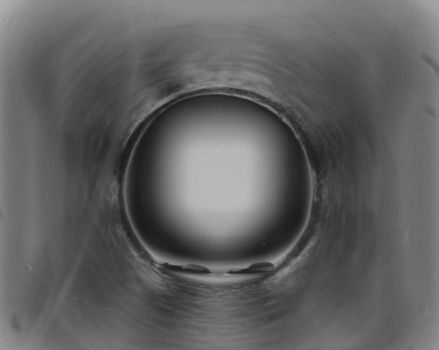 X0000096391505200801311309