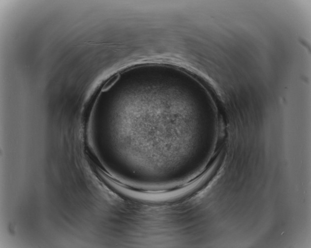X0000096391506200801311309