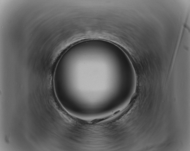 X0000096391507200801311309