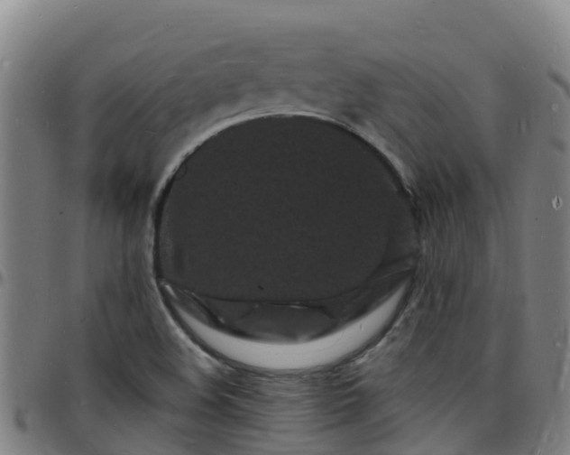 X0000096391508200801311309