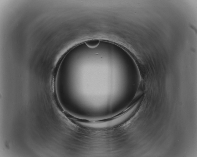 X0000096391510200801311310