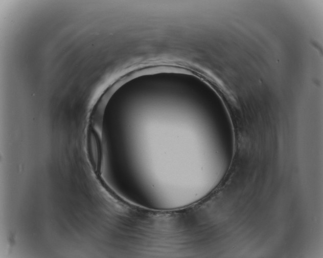 X0000096391512200801311310