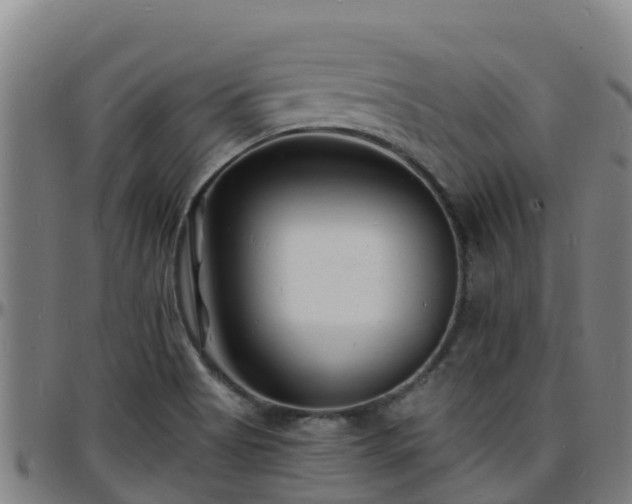 X0000096391513200801311310