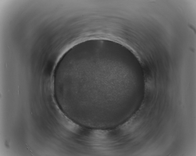 X0000096391514200801311310