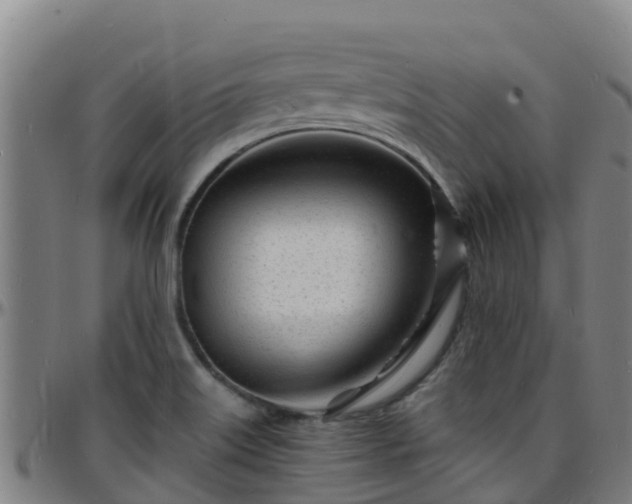 X0000096391515200801311310