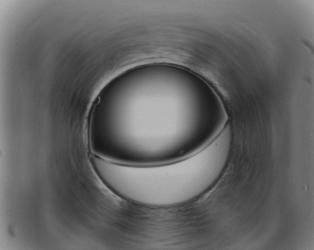 X0000096391516200801311310